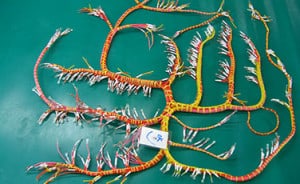 Custom Cable Cable Assembly Manufacturer